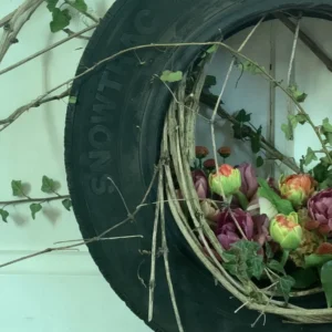 Zweite Lebenshälfte 2026